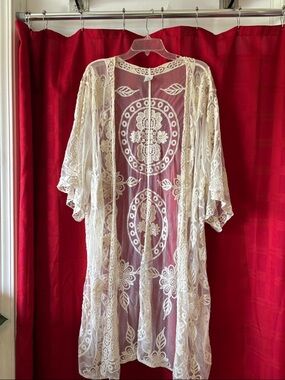 Lace Embroidered Sheer Robe - Cream
